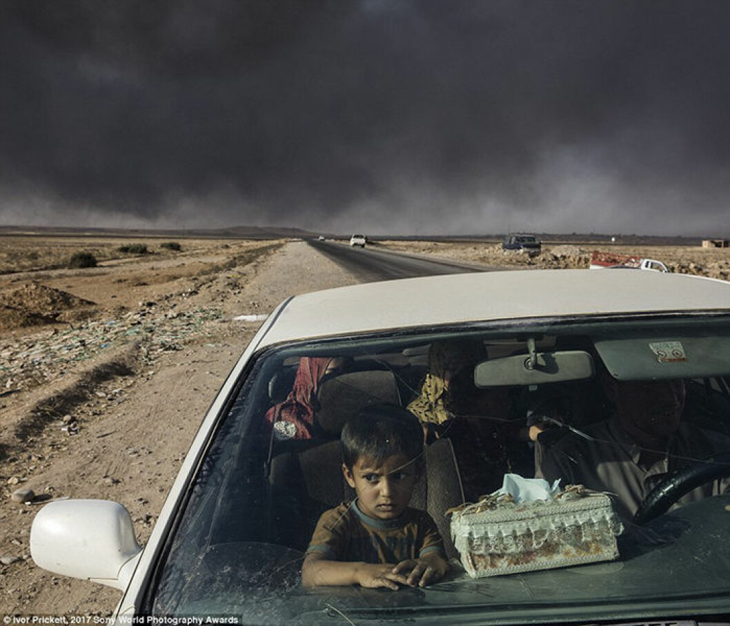 En irakisk familj har flytt från byn Shora, söder om Mosul, och har nått arméns checkpoint. Fotograf: Ivor Prickett