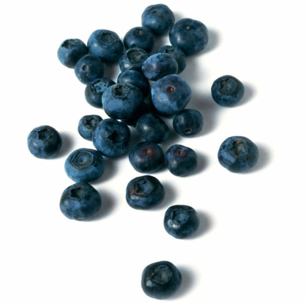 <br>Blåbär.<br>Blåbär är riktiga hälsobomber. Ju starkare färg bäret har, desto mer av den kraftfulla antioxidanten antocyanin innehåller det. Blåbär är inte bara bra för hjärta, hjärna, ögon och hud utan stärker också immunförsvaret. Blåbär. Blåbär är riktiga hälsobomber. Ju starkare färg bäret har, desto mer av den kraftfulla antioxidanten antocyanin innehåller det. Blåbär är inte bara bra för hjärta, hjärna, ögon och hud utan stärker också immunförsvaret.