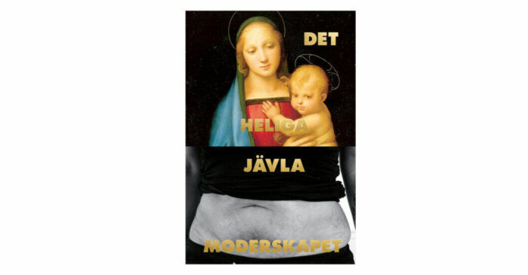 Bok Det heliga jävla moderskapet