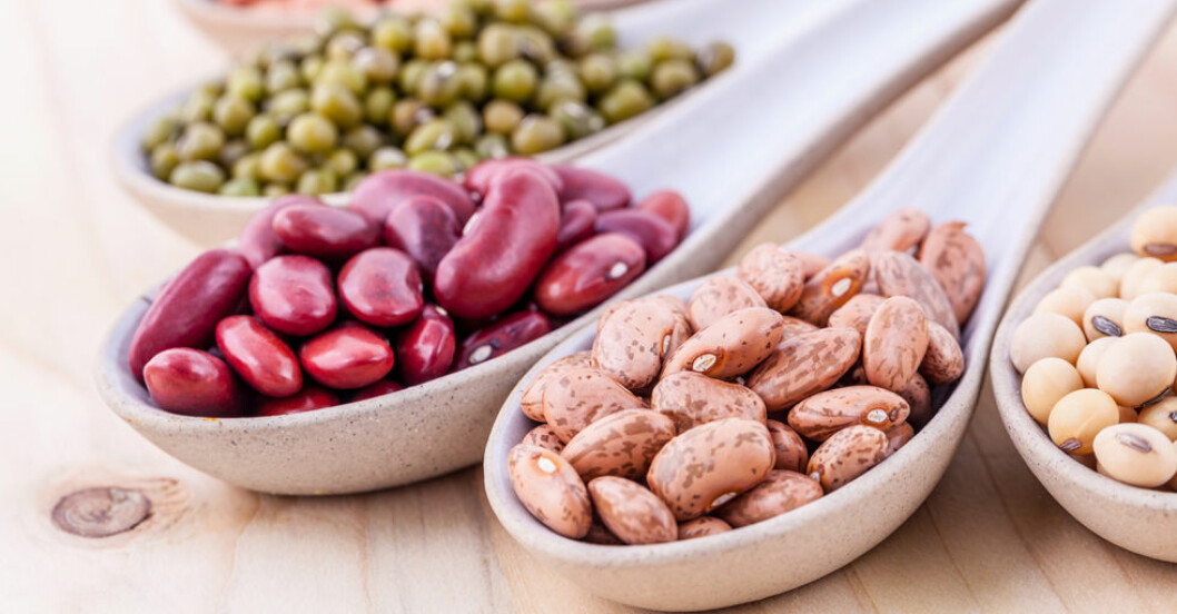 Hur Mycket Protein Per Dag För Att Bygga Muskler Så mycket protein ska du äta per dag | Femina
