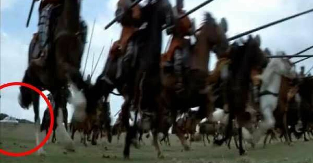 hästar i galopp och en vit bil