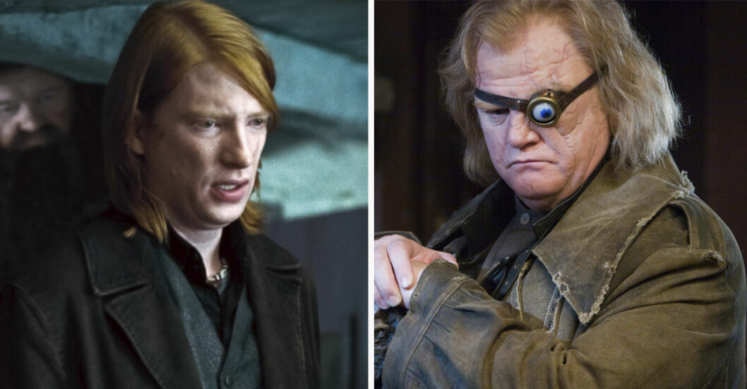 Domhnall och Brendan Gleeson spelar båda i <em>Harry Potter</em>-filmerna. Brendan och Domhnall Gleeson