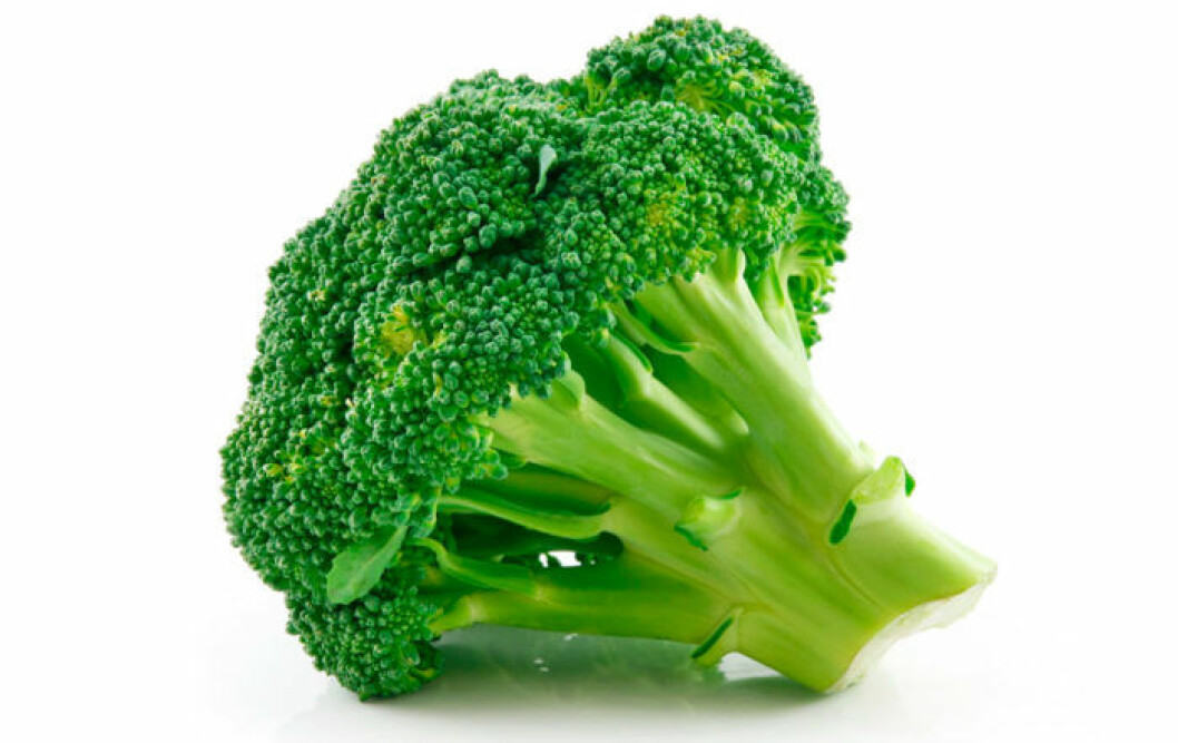 Broccoli