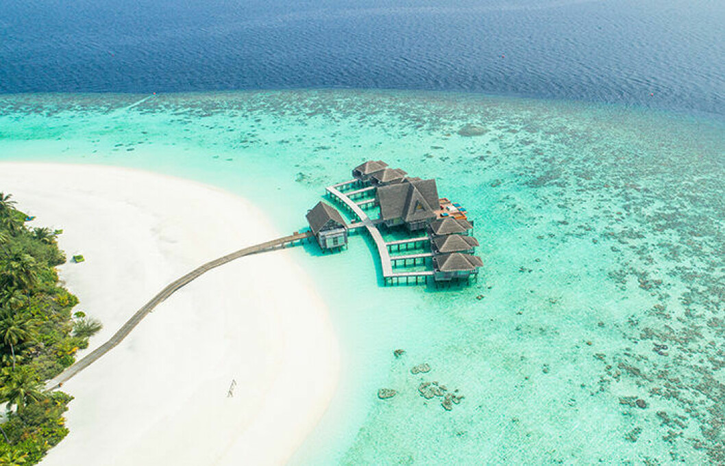 Många vill åka på bröllopsresa till Maldiverna. Foto: Unsplash Många vill åka på bröllopsresa till Maldiverna
