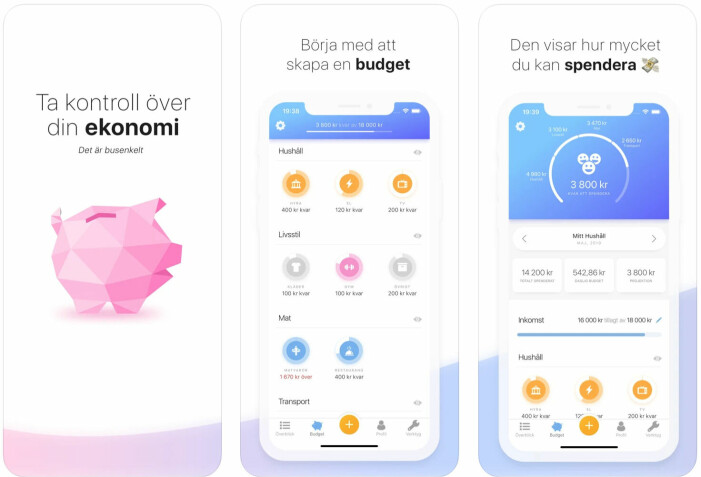 Buddy ekonomi app