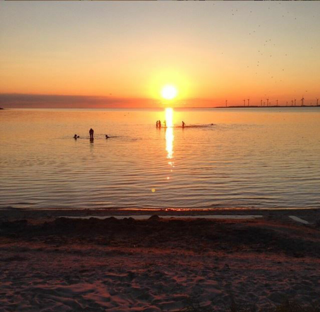 Foto: Hellogotland.se Burgsviks hamn på Gotland.