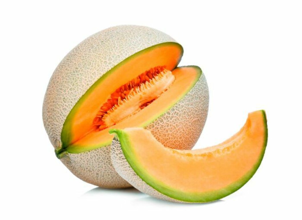 cantaloupemelon