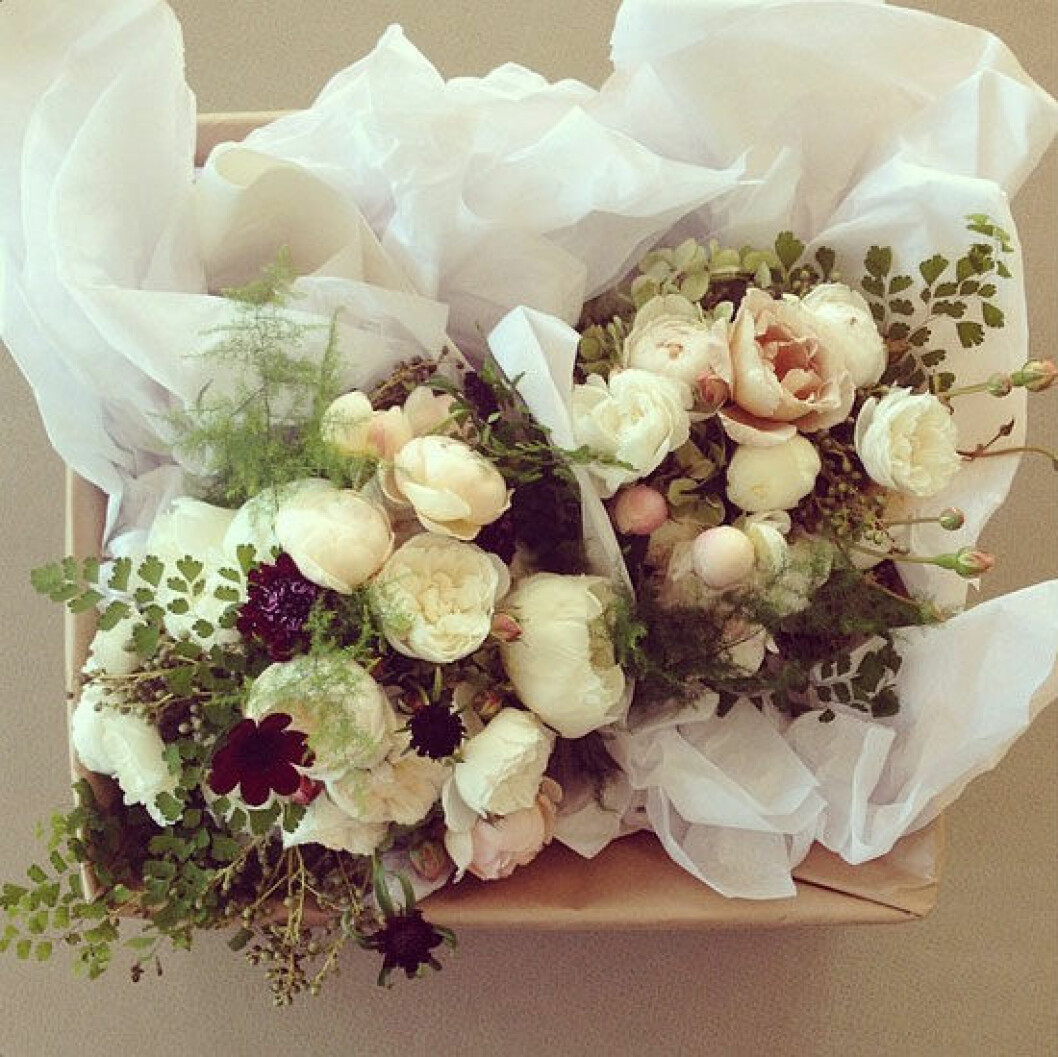 Ceciliafox är en Melbourne-baserad florist med den ena buketten som är vackrare än den andra. 