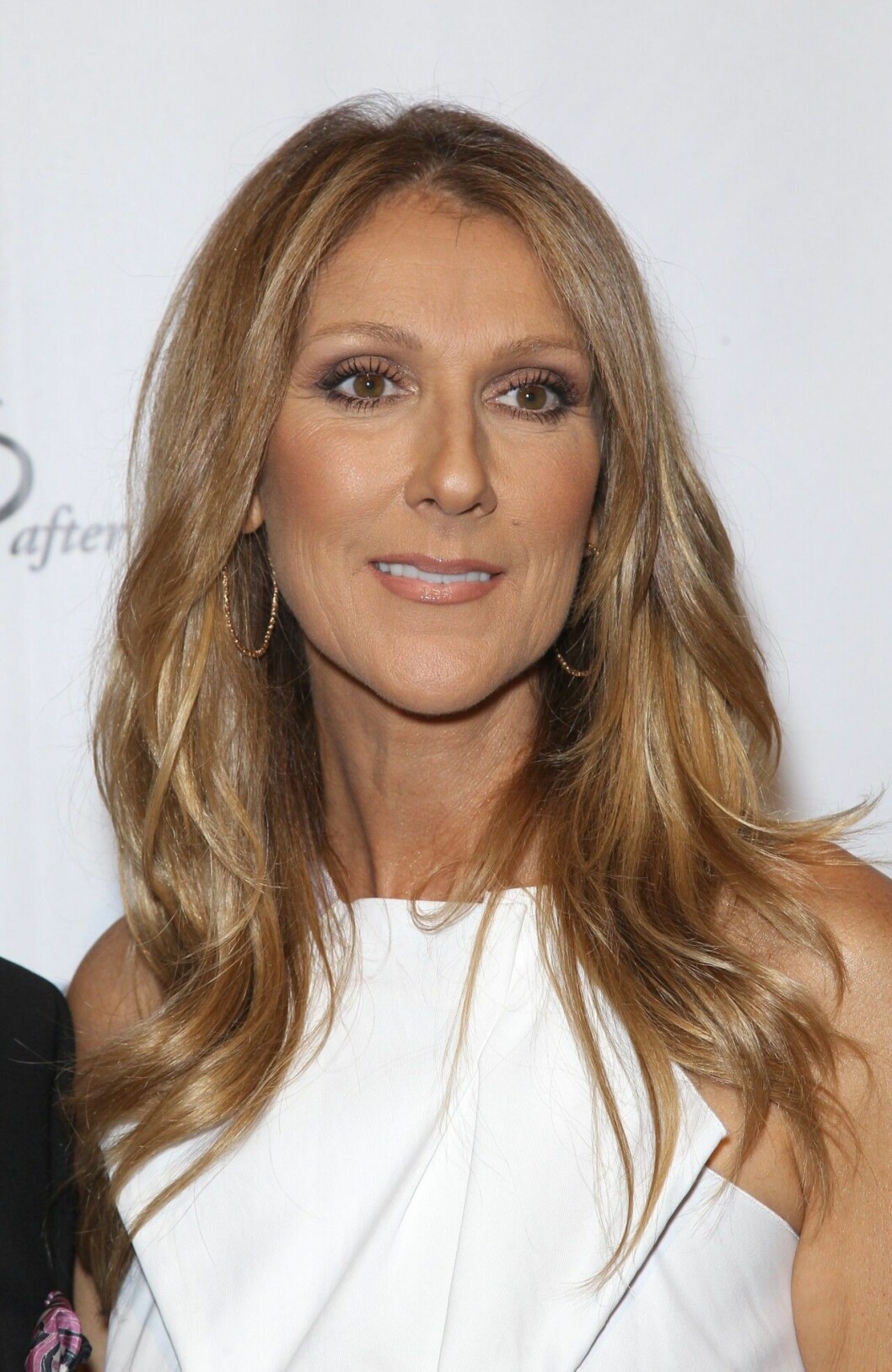 Kanadensiska superstjärnan Celine Dion är vänsterhänt. Celine Dion
