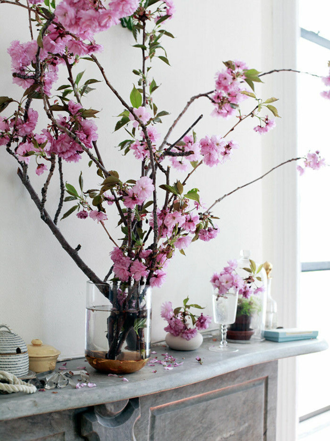 Bild via: <a href="http://www.designsponge.com/2015/05/on-cranberry-street-a-one-bedroom-apartment-for-a-foodie-and-her-bunny.html" target="_blank">www.designsponge.com</a> cherry blossom branch