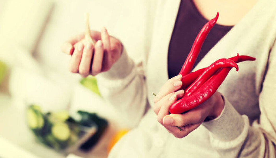 chili-studie-2
