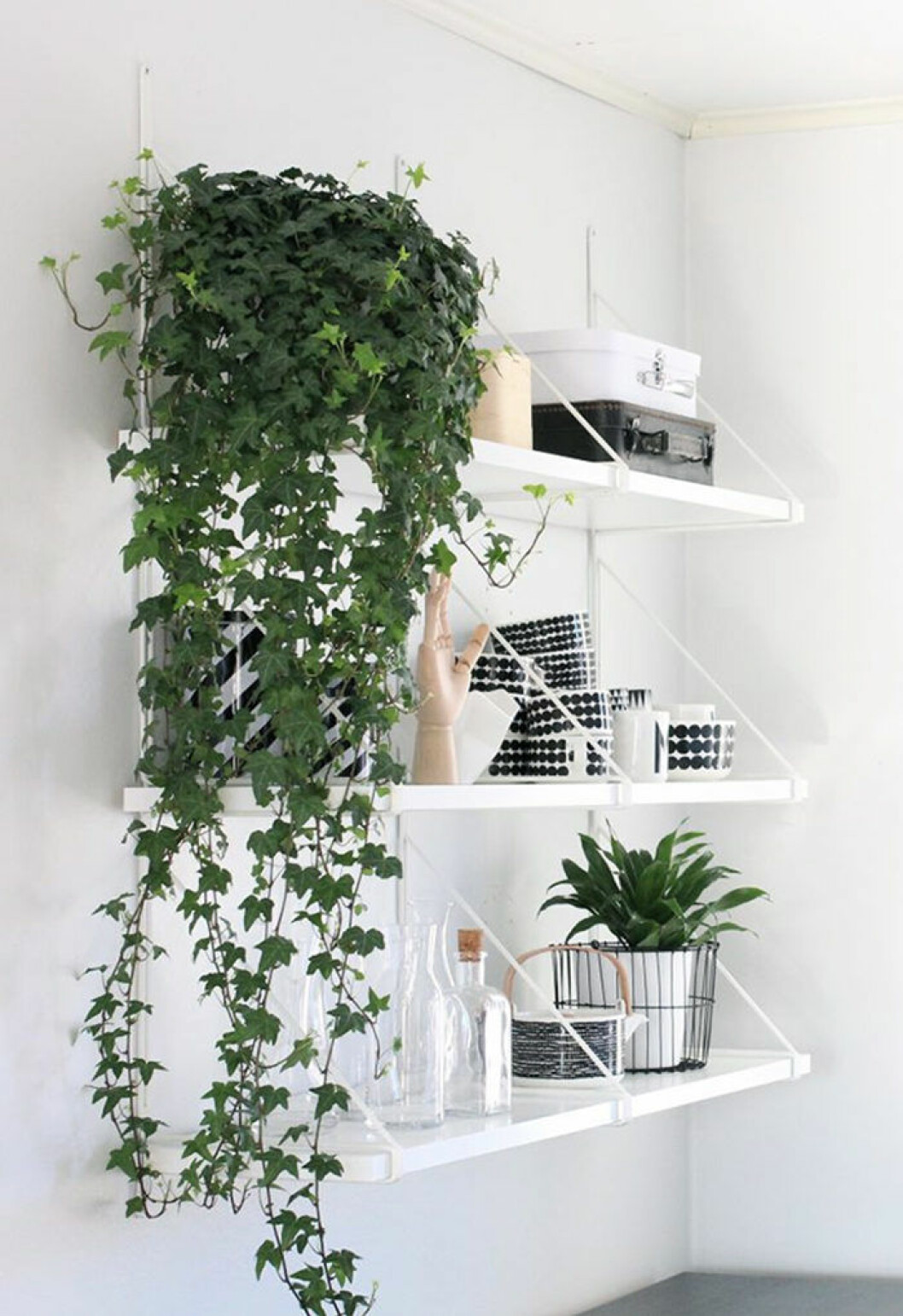 Foto: <a href="http://nordicdays.blogspot.com/2014/05/inspiring-homes-nurin-kurin.html?m=1%E2%80%9D" target="_blank" rel="noopener">Nordic Days</a> Inred med växter på liten yta med smarta compact living-knep