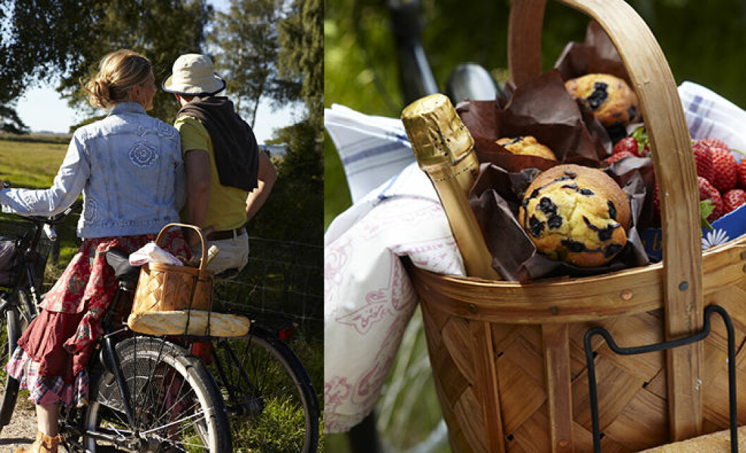 Picknickkorgen är packad för äventyr. Picknickkorg med champagne och muffins