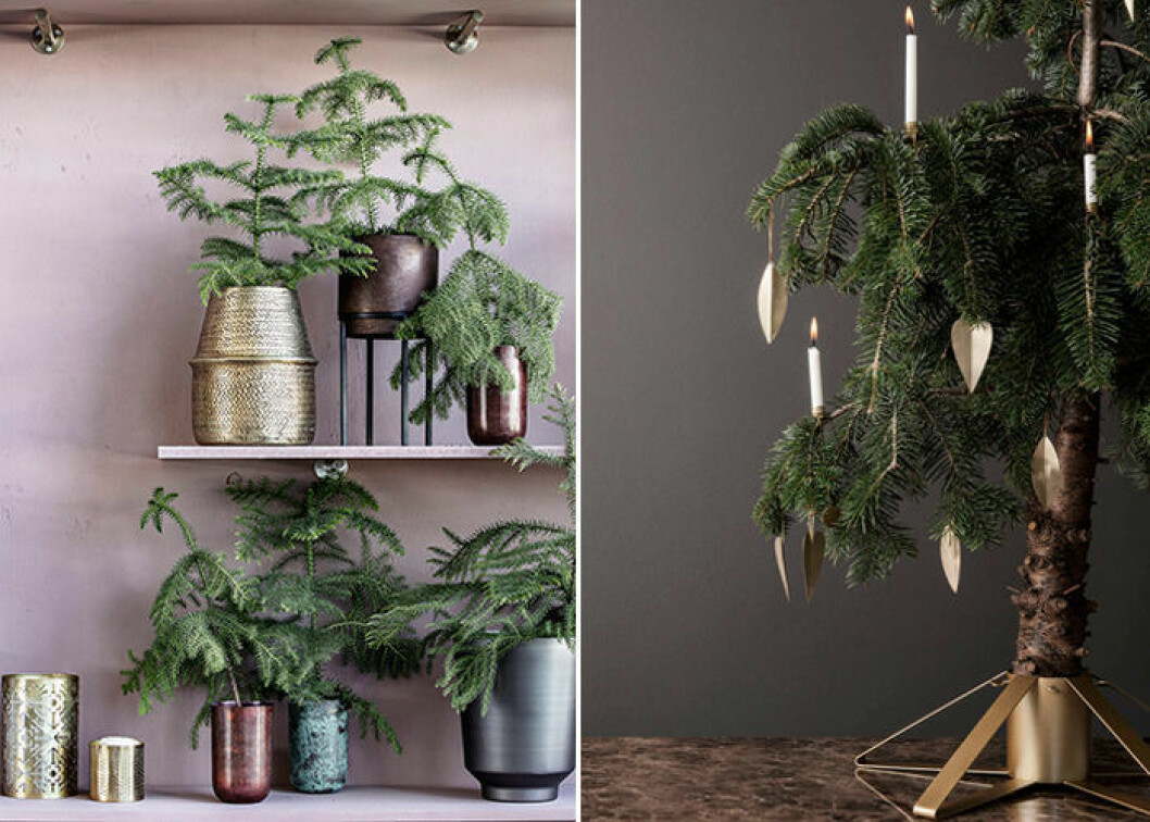 Foto: House Doctor, Ferm Living små rumsgranar passar i alla hemmets rum