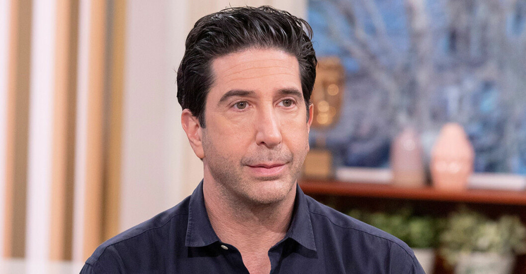 David Schwimmer har pysslat med lite av varje de senaste åren. David Schwimmer