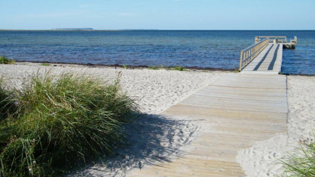 Foto: Gotland.net Djupvik på Gotland.
