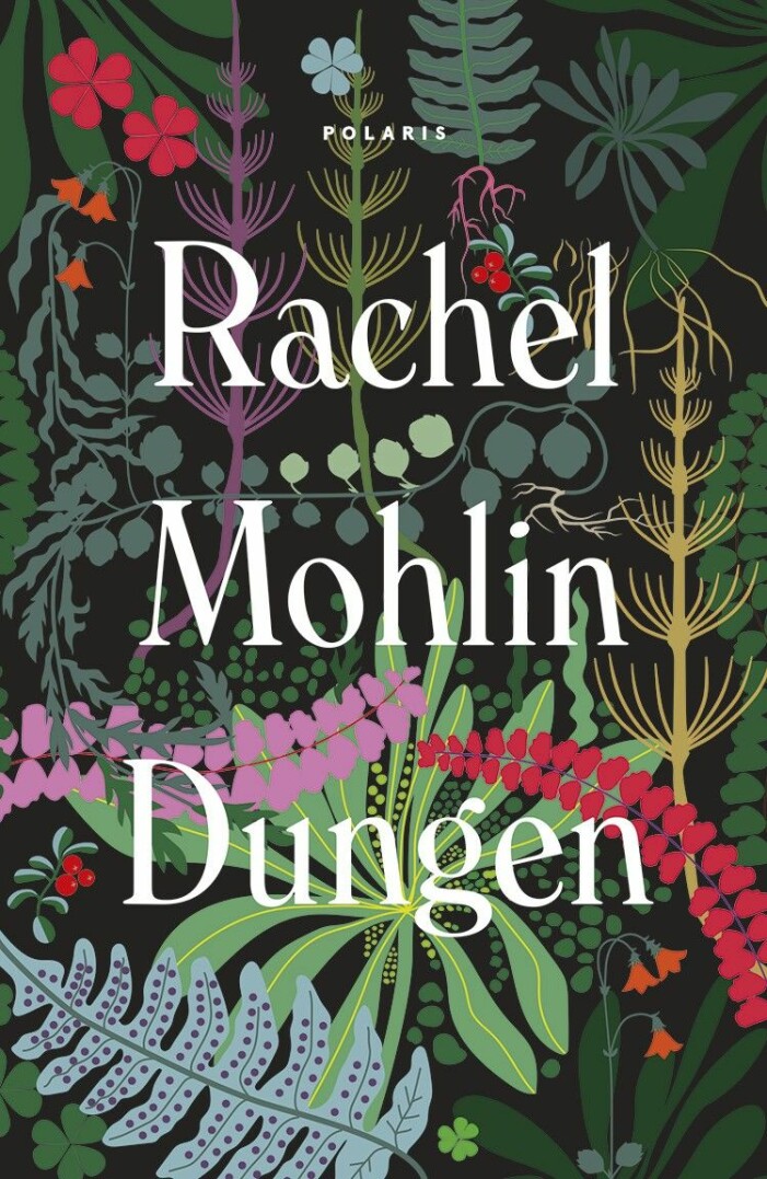 Här kan du hitta Rachel Mohlins debutroman <a target="_blank" href="https://clk.tradedoubler.com/click?p=21&a=3025660&epi=Femina%20b%C3%B6cker&url=https%3A%2F%2Fwww.adlibris.com%2Fse%2Fbok%2Fsignerad-dungen-9789177958185"><em>Dungen</em></a>. Dungen, roman av Rachel Mohlin