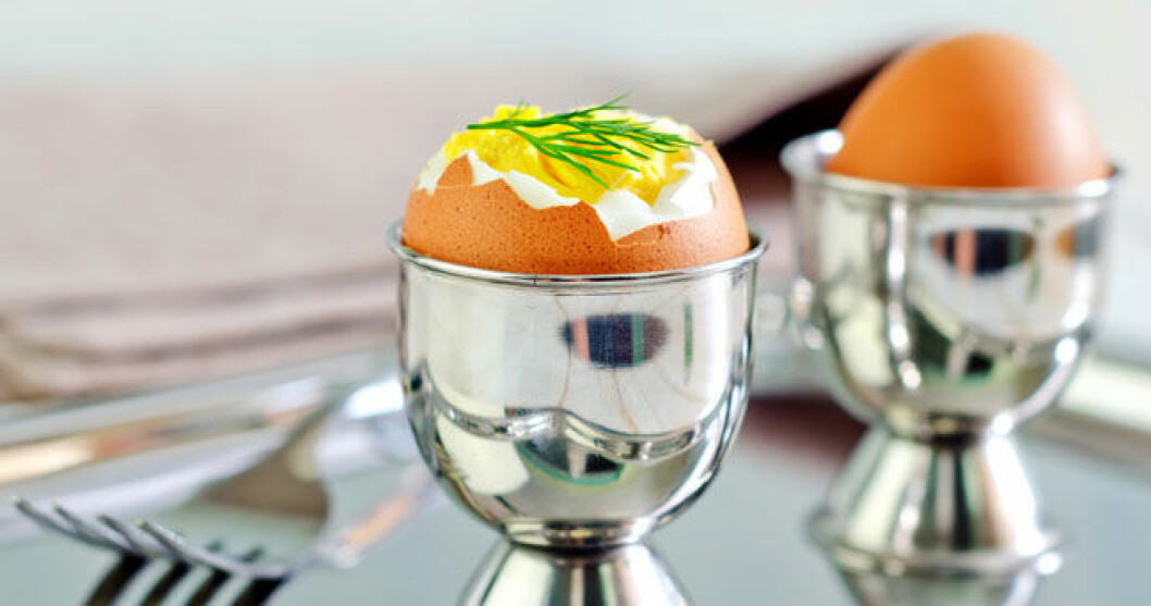egg