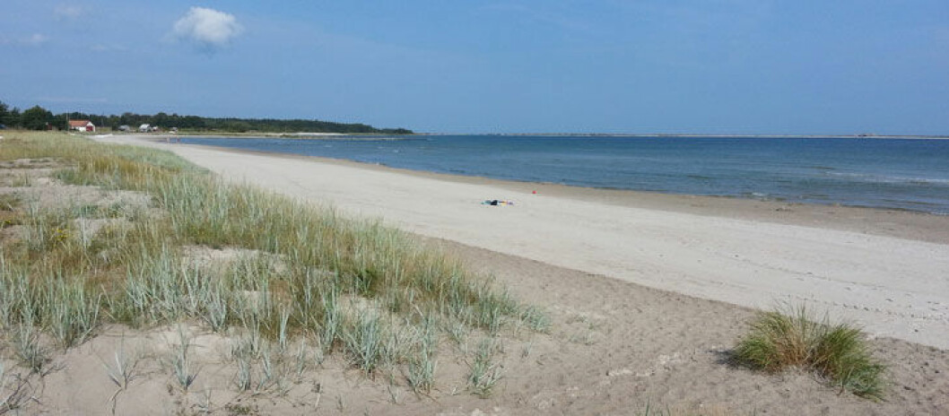 Foto: Region Gotland Ekeviken på Fårö.