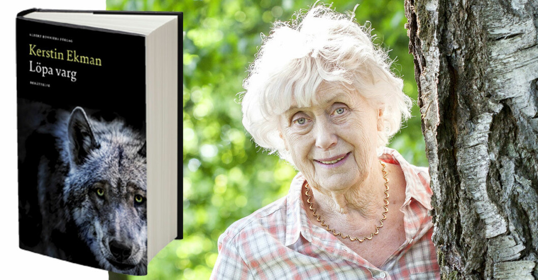 Kerstin Ekmans nya bok Löpa varg får högsta betyg av Feminas bokrecensent Kenneth Gysing