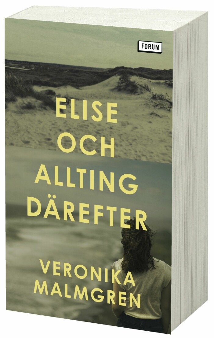 Elise och allting därefter av Veronika Malmgren. Elise och allting därefter av Veronika Malmgren.
