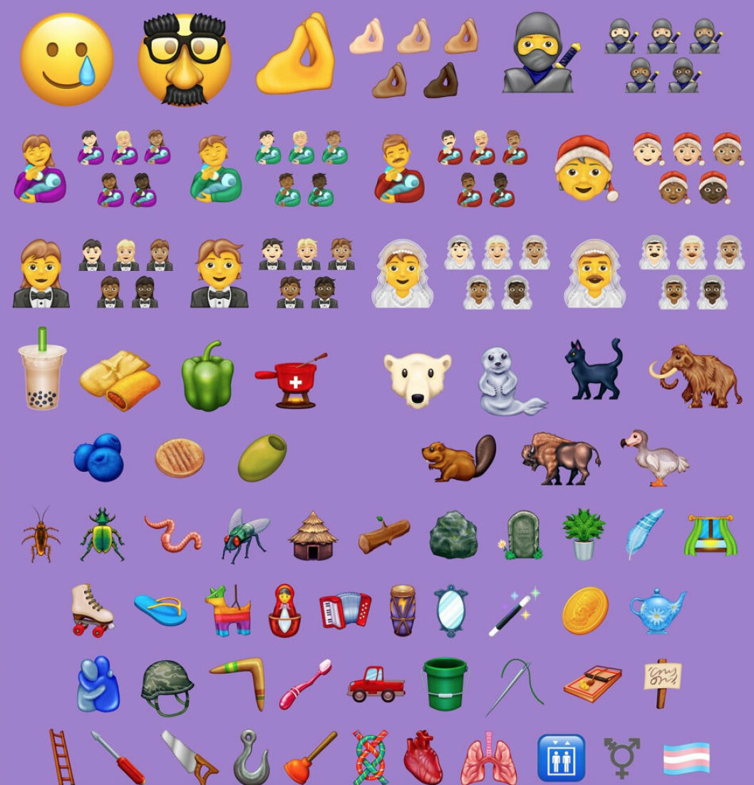 Nu kan du skriva att du och din bäver har tagit er pickup-truck till en hydda där ni slog på en piñata med en boomerang, genom att bara använda emojis. Alla 117 nya emojis för 2020.