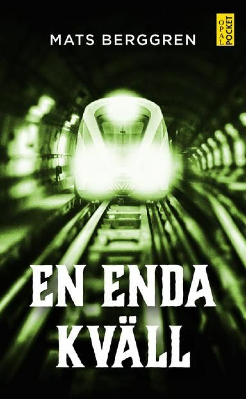En enda kväll Mats Berggren