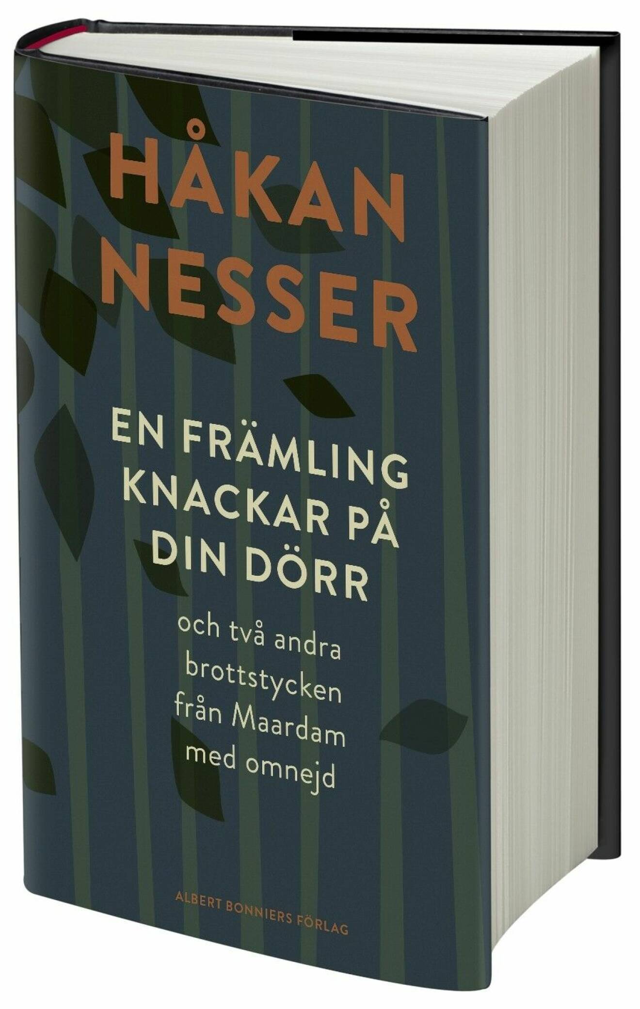 EN FRÄMLING KNACKAR PÅ DIN DÖRR Håkan Nesser.