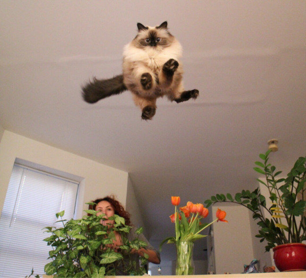via: <a href="http://i.imgur.com/loHIq45.jpg">imgur</a> enhanced-buzz-20729-1397069605-17