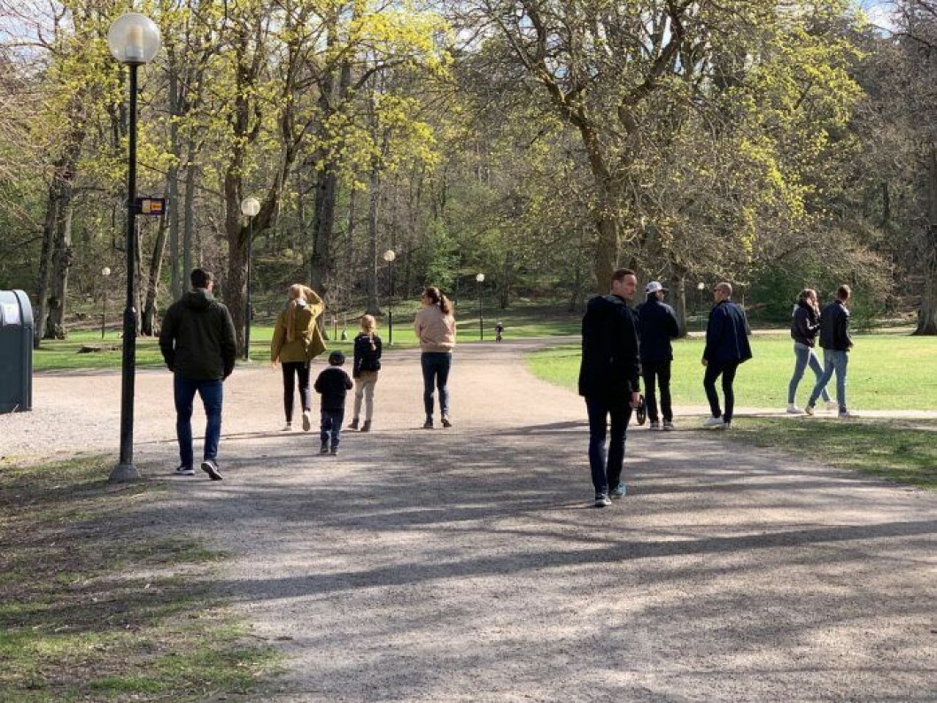 Victoria, Estelle och deras gäst tog täten. Oscar hängde på två steg bakom, och längst ute till höger ser du prins Daniel. Victoria Daniel Estelle och Oscar på promenad i Hagaparken med sin nya hund.