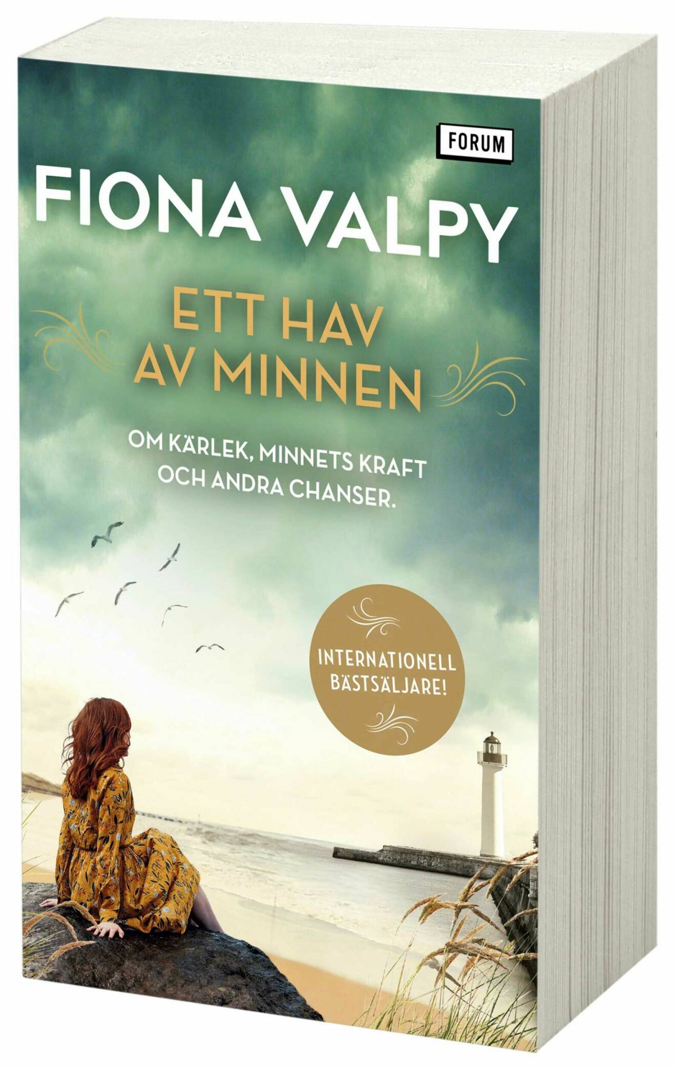 Ett hav av minnen av Fiona Valpy.