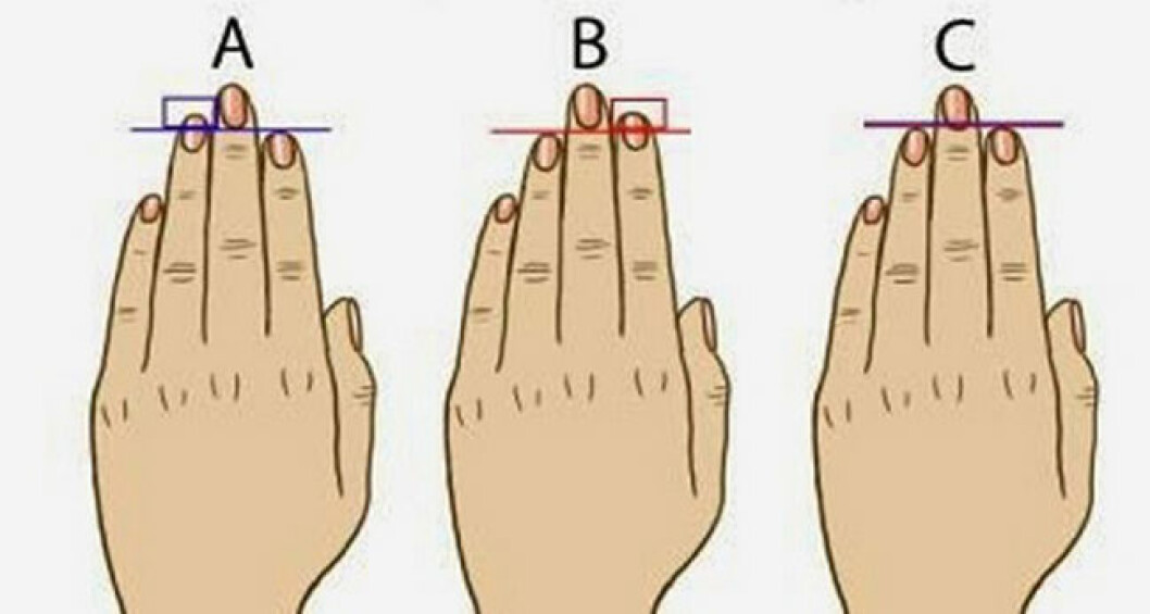 Via: <a href="http://www.healthylifetricks.com/see-how-your-fingers-length-reveals-your-personality/" target="_blank">healthylifetricks</a> femina personlighet