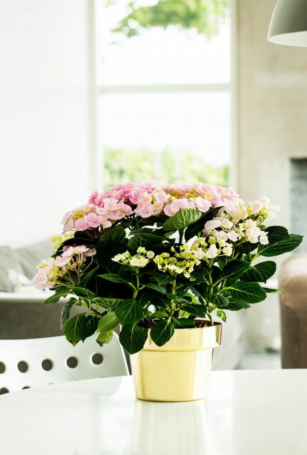 Flower pot från Skultuna, designad av Monica Förster