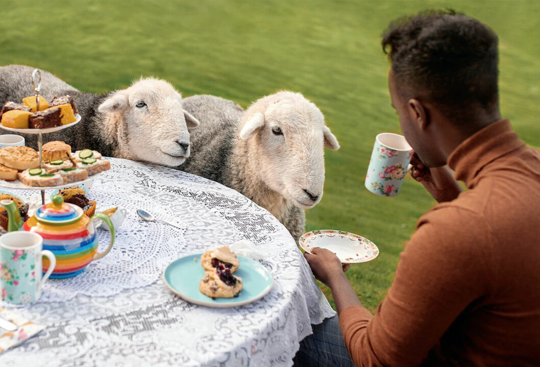 Fika med får vid Loch Lomond i Skottland. Foto: via Airbnb Afternoon tea med får i Skottland – en upplevelse på Airbnb