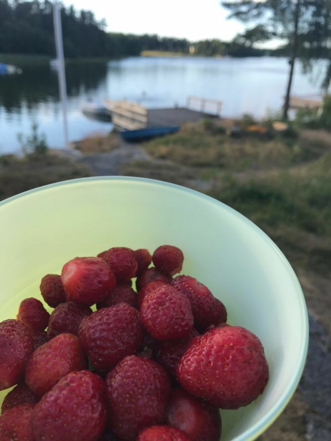 Färska jordgubbar i en skål