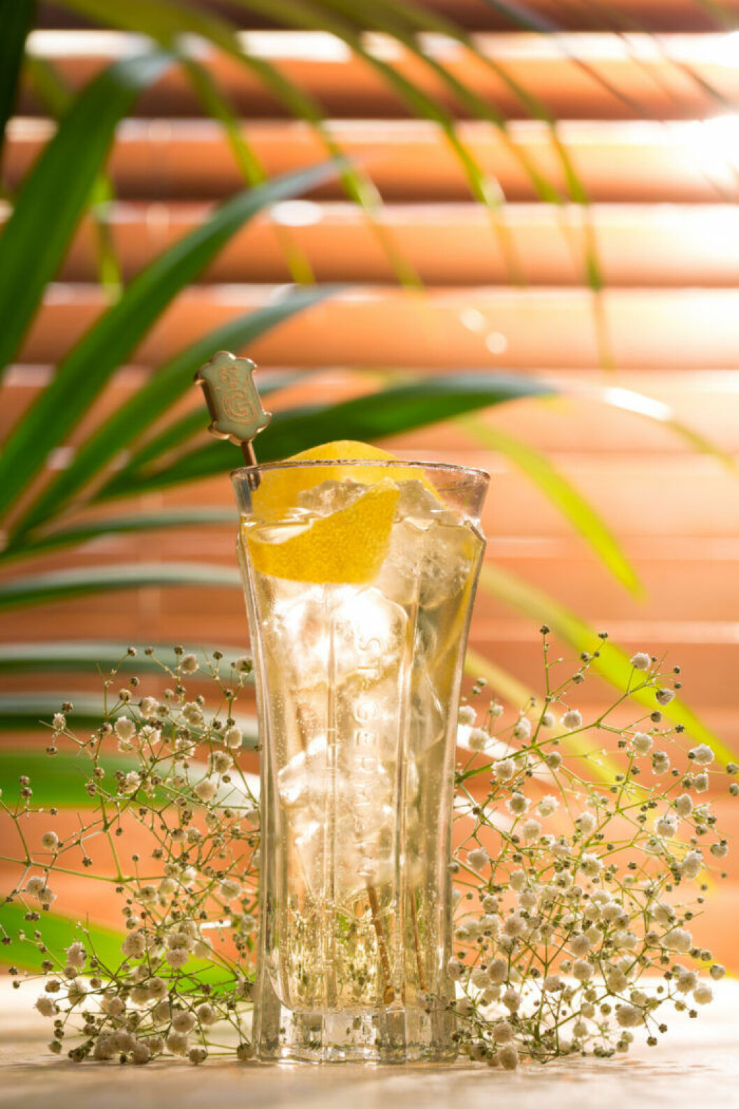 Fläderspritz med fläderlikör.