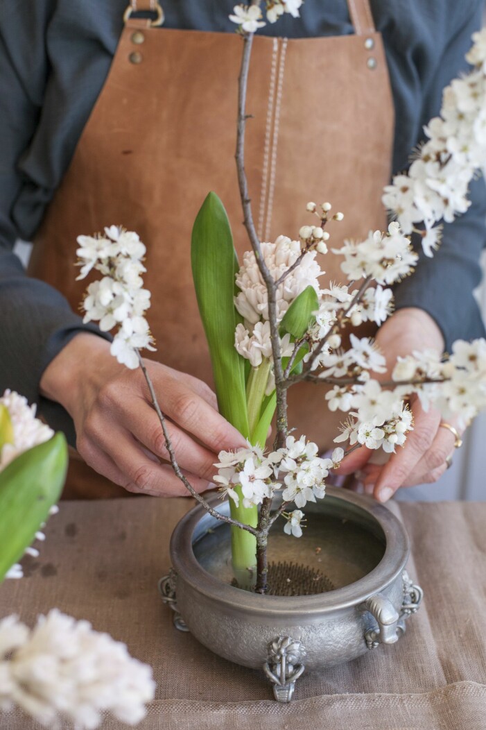 Klipp rakt av istället för att snitta, detta för att få en platt yta. Arrangemang i blomsterfakir.
