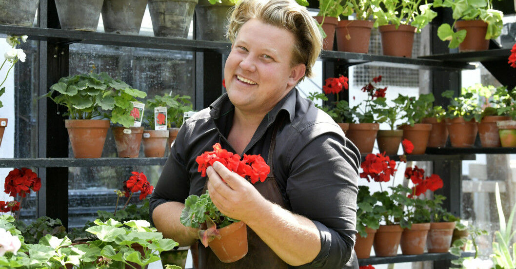 Floristen Karl Fredrik vet hur blommor ska skötas – och tipsen har gått hem i stugorna. Floristen Karl Fredrik