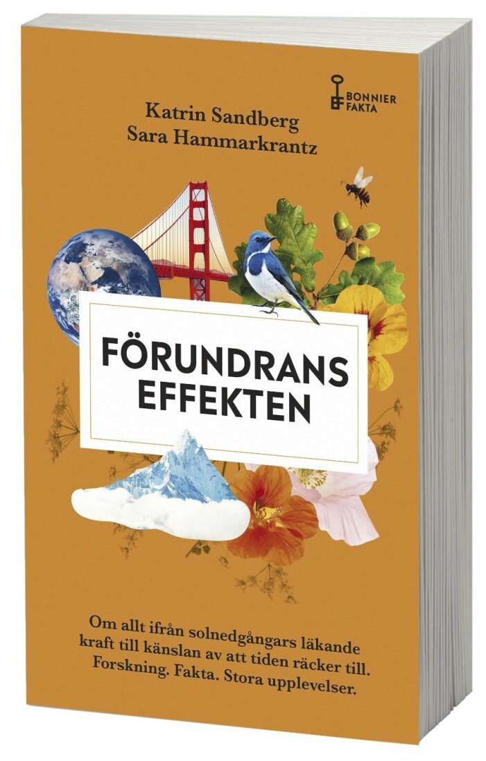 Bokomslag Förundranseffekten av Katrin Sandberg och Sara Hammarkrantz.