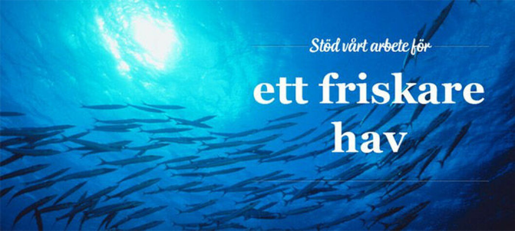 friskt-hav-julklapp