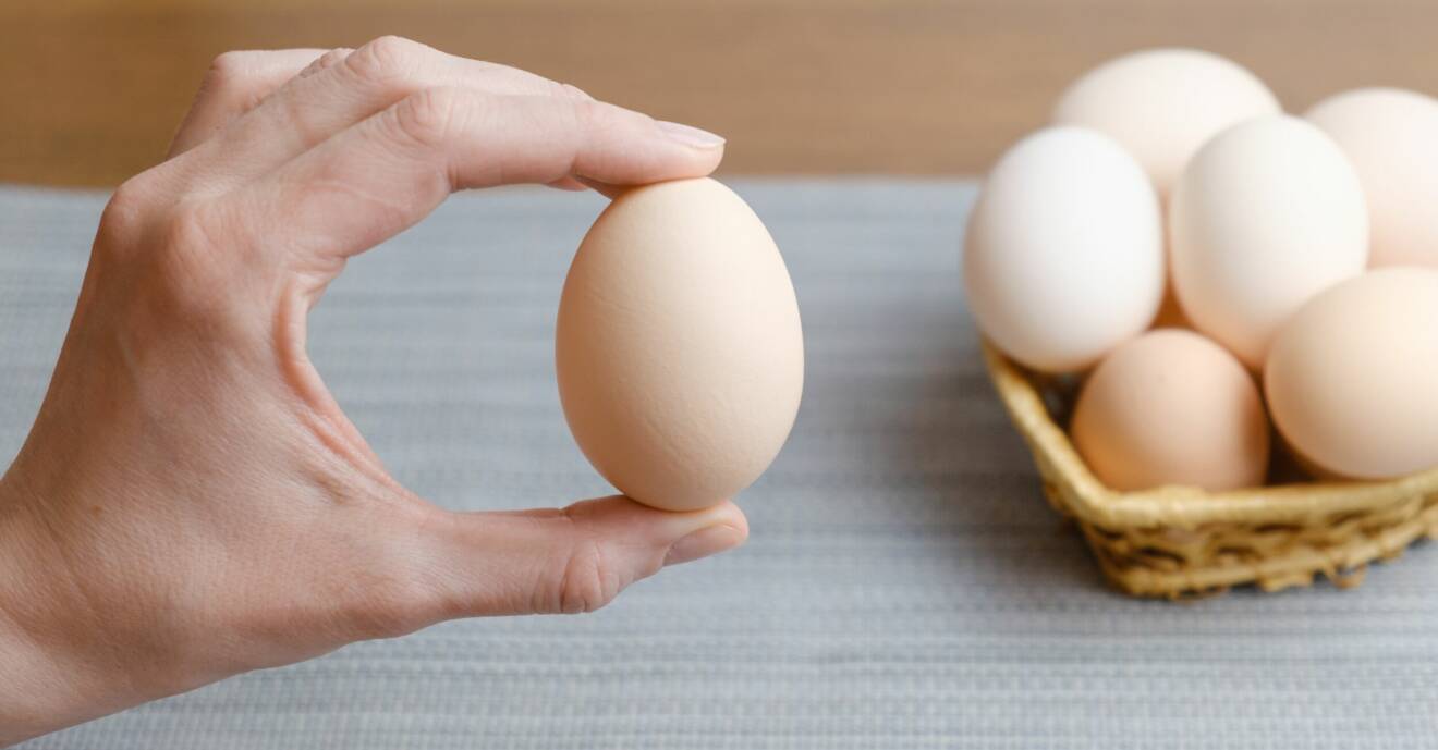 Hand om som håller upp ett ägg