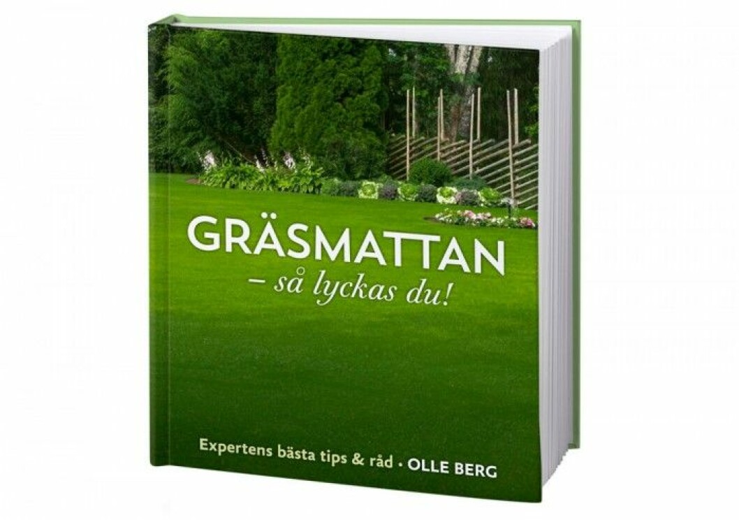 Grasmattan-sa-lyckas-du-av-Olle-Berg