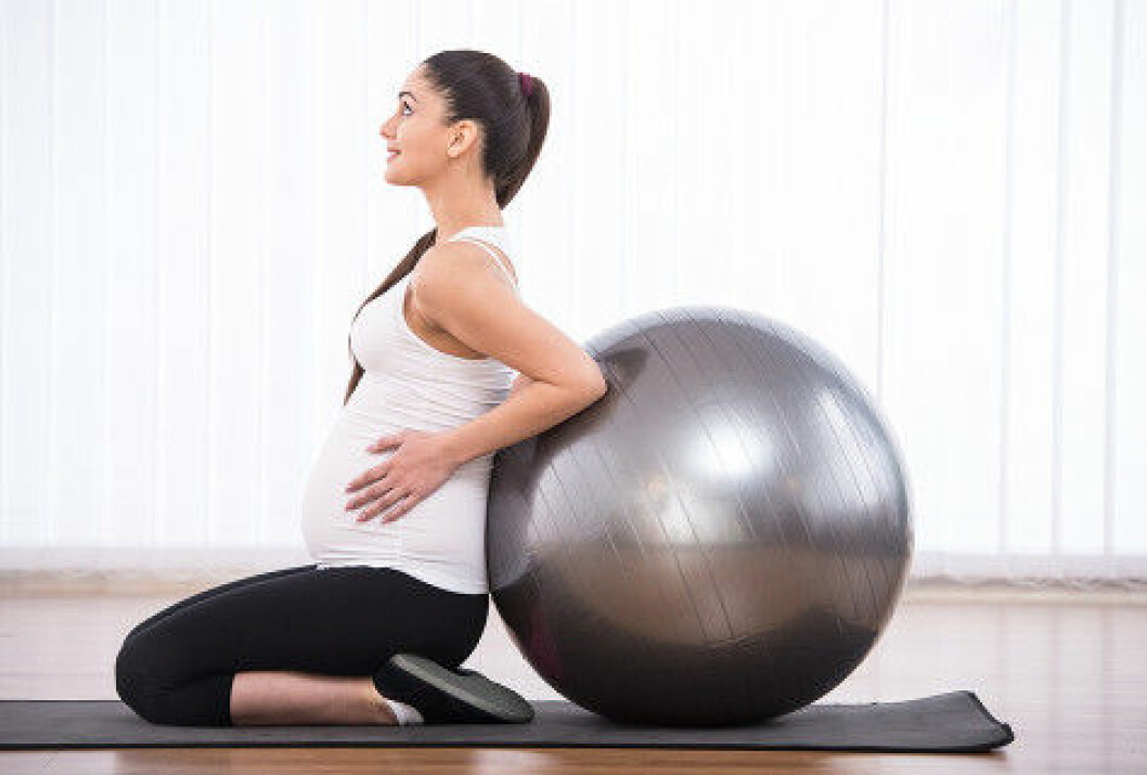 Foto: Shutterstock gravid-trana-hur