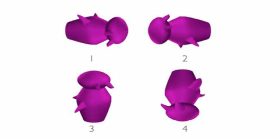 <em>MICHAEL J TARR CENTRE FOR THE NEURAL BASIS OF COGNITION AND DEPARTMENT OF PSYCHOLOGY CARNEGIE MELLON UNIVERSITY</em>