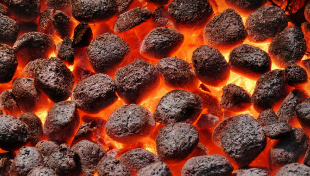 Öppna flammor, röd glöd eller grå hetta. Det finns tumregler för när glöden är bäst. Bild: IBL