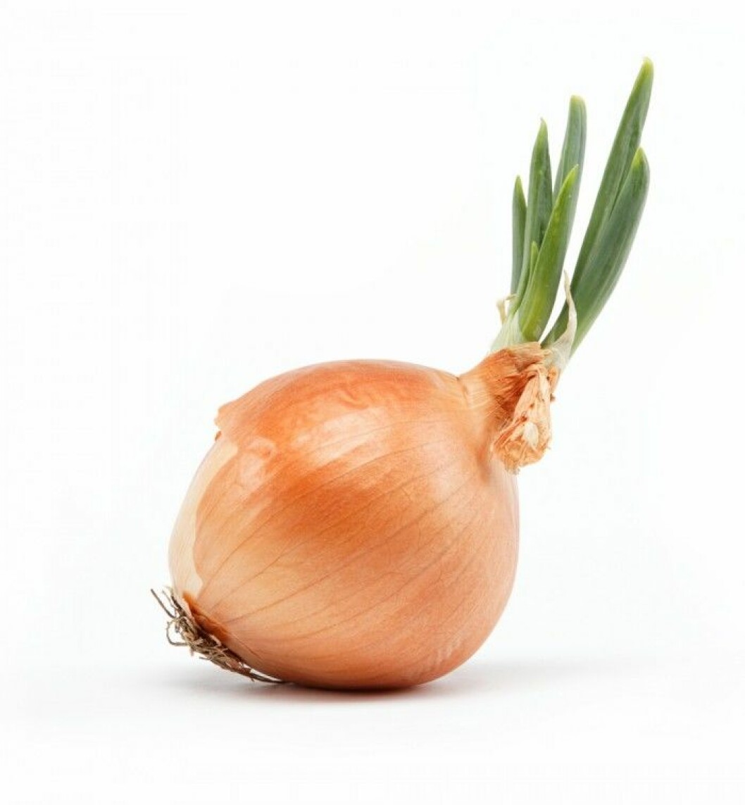 <strong>LÖK</strong>. Lök.