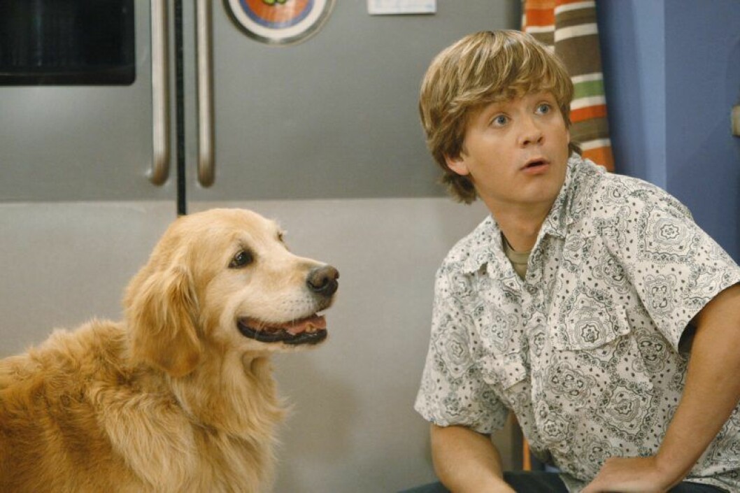 Jason Earles som Hannah Montanas bror