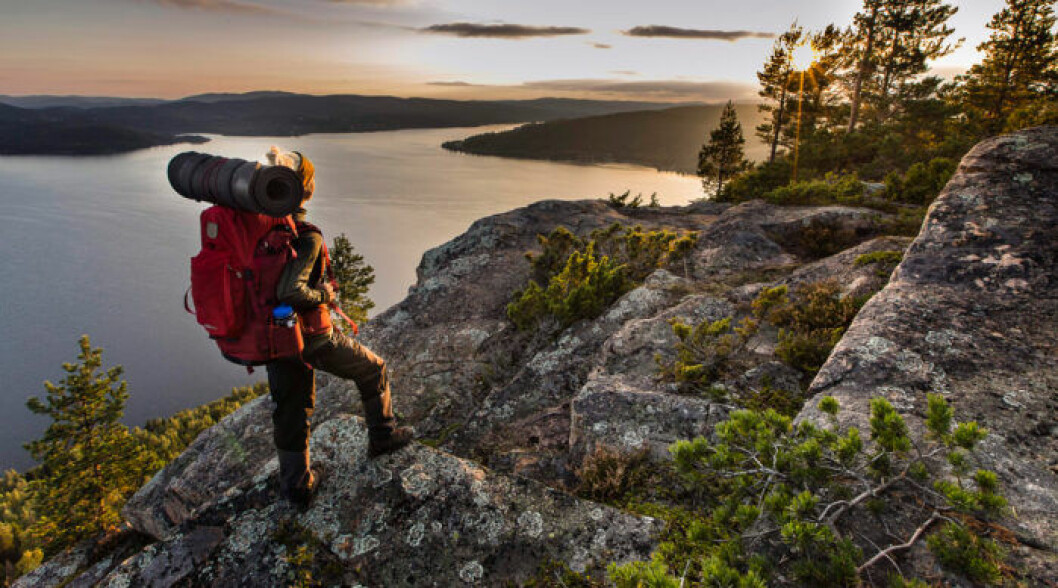 Foto: Höga kusten Tjej vandrar på Höga kusten