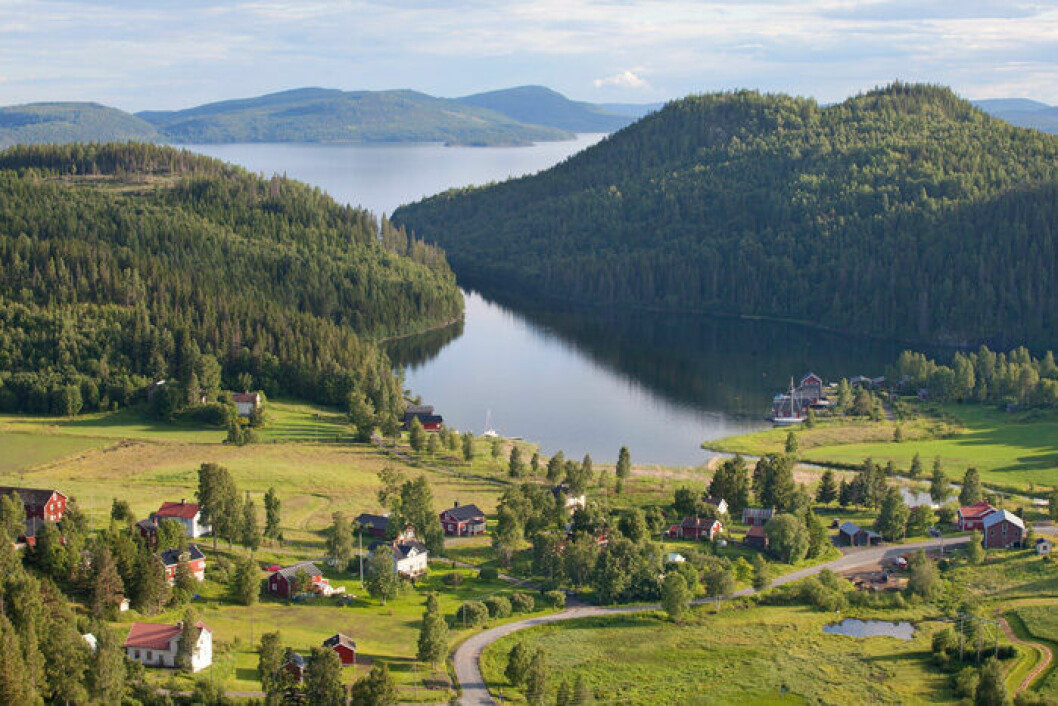 Höga kusten finns med på Unescos världsarvslista. Foto: Anders Good/TT En bild på Höga kusten.