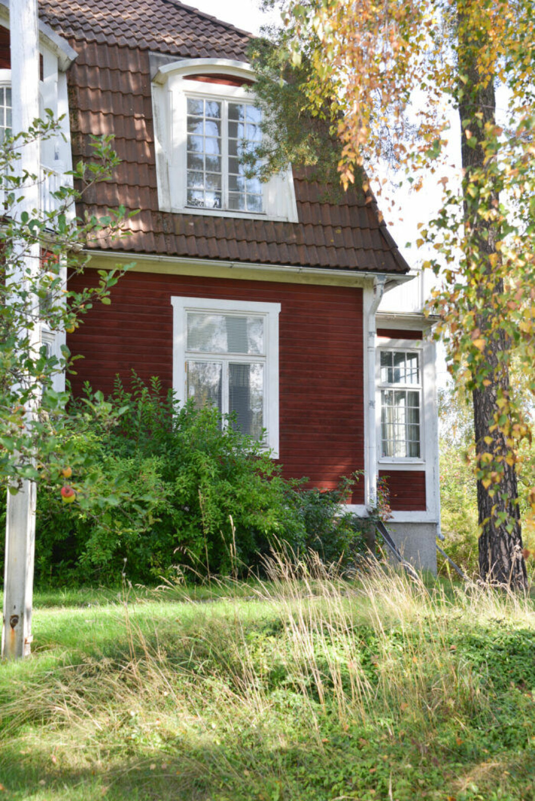 Bild: Trädgårdsform